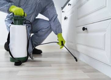 大阪市のトコジラミ駆除なら【株式会社ベクトル】